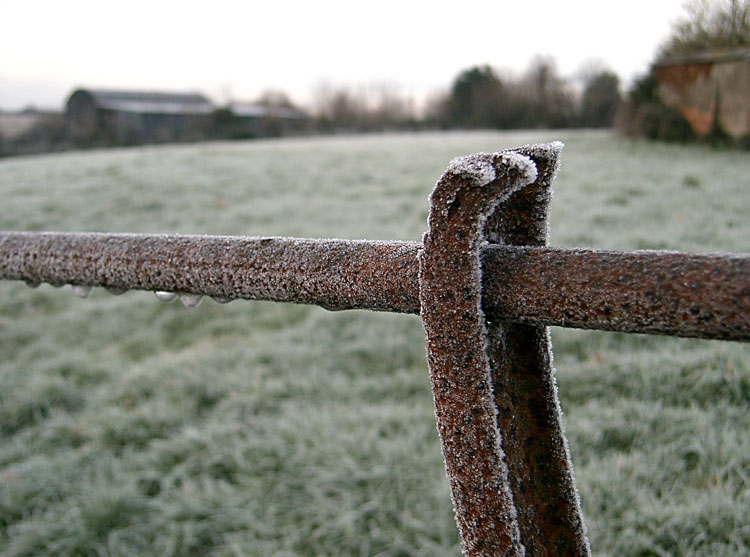 Frost on a Fence in Devon, December 2009